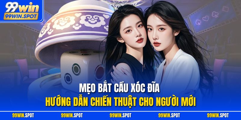 Mẹo Bắt Cầu Xóc Đĩa | Hướng Dẫn Chiến Thuật Cho Người Mới