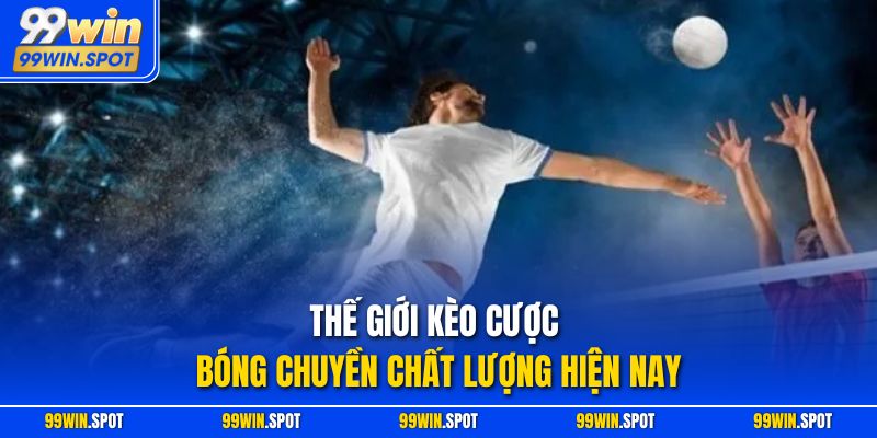 Thế giới kèo cược bóng chuyền chất lượng hiện nay